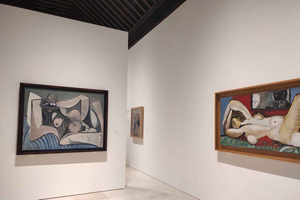 Málaga: complete Picasso-sightseeingtour zonder wachtrijen in het Picasso-museum en het geboortehuis