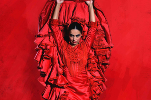 Malaga: Teatro Flamenco Malaga Live Flamenco Show