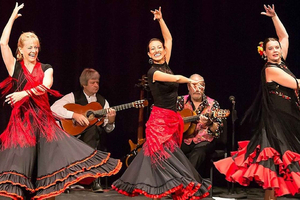 Málaga: avond met tuktuk, tapas en flamenco