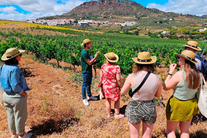 Malaga: White Village, Vineyard, and Wine Tasting Wine Tour