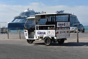Hafen von Málaga: Touren mit dem E-Tuk-Tuk ab dem Kreuzfahrtterminal