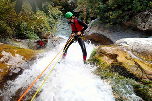 Sierra de las Nieves: Zarzalones Canyoning For Rappel Lovers