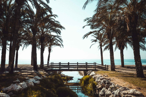 Torremolinos: Walking Tour with Tapas and Coastal Walk