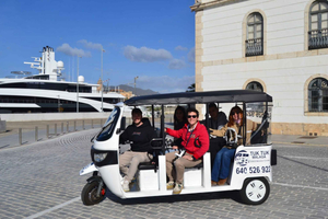Sightseeingtour met een tuktuk door het centrum met toegangskaarten voor de Alcazaba en het kasteel van Gibralfaro