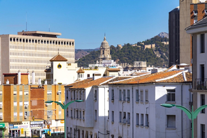 Araucaria Garden & Parking
