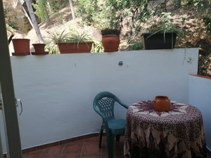Casa del Árbol