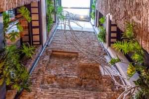 Coeo Despertar Rooftop Terrace Exclusive Apartments