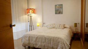 Homely Málaga Soho 520
