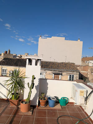 La Siesta Malaga Guesthouse