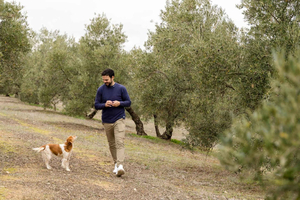 OLIVE OIL & WINE TOUR Organic fields - 5 Wines + 3Olive Oils