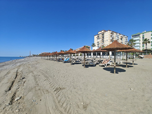 Sunny harbor house