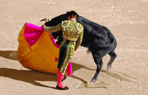 Malaga Bullfighting Festival 2026