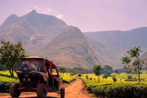 3-Day Mount Mulanje Escape with Hiking & Tea Experience