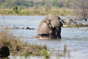 7-Day Safari tour in Malawi-Majete & Liwonde Safari Tour