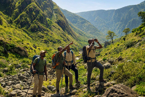 From Mulanje: 4-Day Mountain Peaks & River Safari Adventure