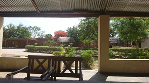 Hungry Lion Grill