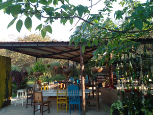 Kaza Kitchen