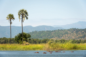 Kuthengo Camp