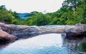 Lifeing - the wellness spot