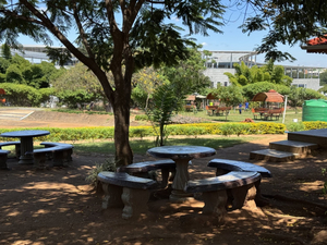 Umodzi Park Bush Bar