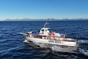 Alcudia: Private Boat Charter for Groups with Snorkel & SUP