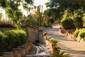 Botanicactus at the Botanical Garden in Ses Salines