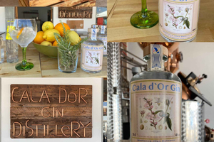 Cala d'Or: Gin Tasting at the Cala d'Or Gin Distillery