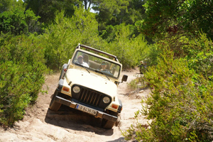 Cala Millor: Guided Jeep Tour with Nature, Off-Road Adventure & BBQ – Self-Drive