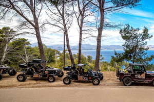 Can Picafort: tour guiado de 3 h en buggy de 2 plazas - Mallorca manual