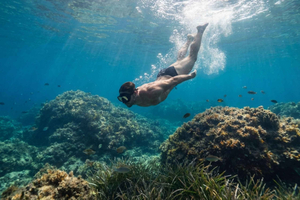 Coll Baix: Guided shallow snorkel tour. Marine fauna and flora