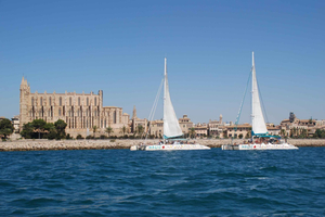 From Palma de 3.5-Hour Catamaran Cruise with Tapas and a Swim