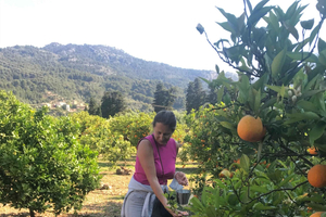 From Palma: Soller valley walk and picnic in orange farm