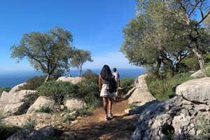 Da Palma: tour di Valldemossa ed escursione al belvedere di montagna