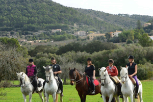 Mallorca: Guided Horseriding Tour of Randa Valley