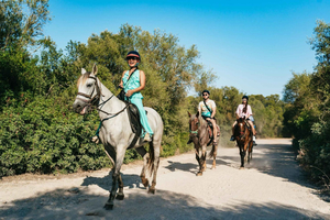 Mallorca: Excursión a Caballo y Cata de Vinos