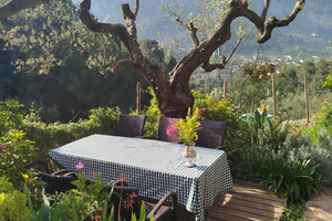 Mallorca: Paella Cooking Class in the Tramuntana Mountains