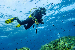 Mallorca: Scuba Dive Adventure Cap Formentor - 1 Dive (license required)