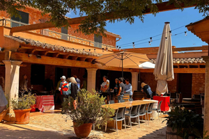 Autentica degustazione di vini in una cantina a conduzione familiare di Maiorca