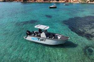 Palma Bay Boat Tour with Swim Stop, Paddle Boarding & Sea Scooter