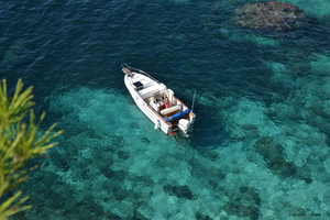 Palma de Excursión en barco de día completo o medio día con brunch