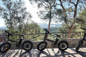 Palma: Aventura eléctrica por la montaña: ¡Sube más alto, llega más lejos!
