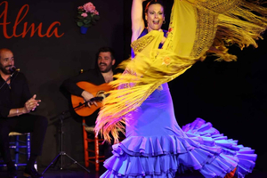 Palma: Spettacolo di flamenco al Tablao Flamenco Alma con drink