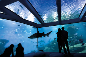 Palma: Palma Aquarium-ticket met transferservice