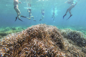 Sant Elm: Kayak&Snorkel Tour - The Secret of the Posidonia