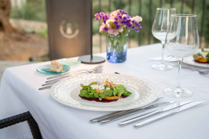 Treurer: Olive Oil Night. Gastronomic experience