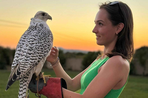 Visit a Falcon and Bird of Prey Breeding Center in Mallorca