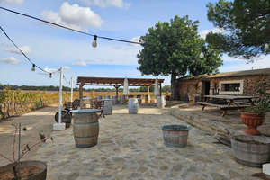VISITA BODEGAS BORDOY, DEGUSTAZIONE 5 VINI, FINGER FOOD