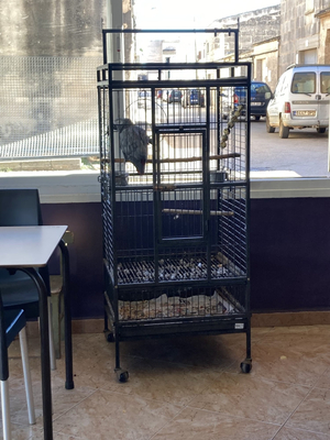 Bar Lara
