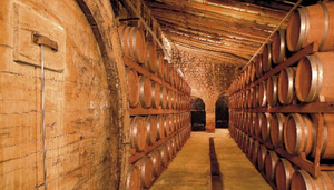 Bodegues Ribas