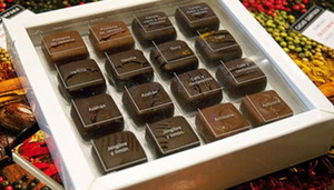 Cacao Sampaka